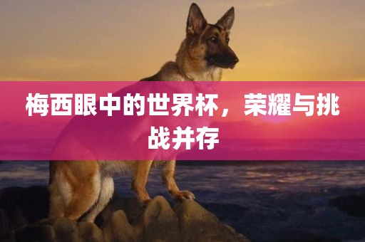 梅西眼中的世界杯，荣耀与挑战并存
