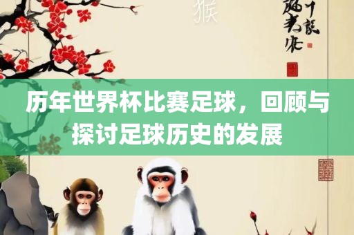 历年世界杯比赛足球，回顾与探讨足球历史的发展