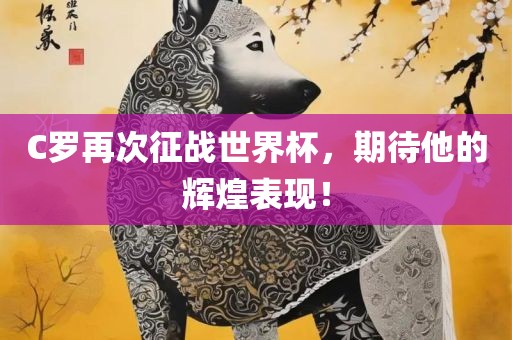 C罗再次征战世界杯，期待他的辉煌表现！金炬实业股份有限公司