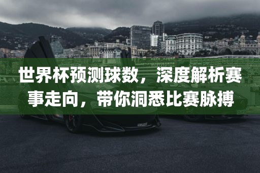 世界杯预测球数，深度解析赛事走向，带你洞悉比赛脉搏金炬实业股份有限公司