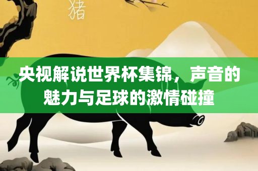 央视解说世界杯集锦，声音的魅力与足球的激情碰撞