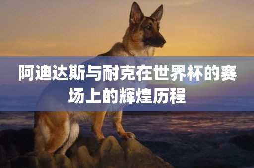 阿迪达斯与耐克在世界杯的赛场上的辉煌历金炬实业股份有限公司程