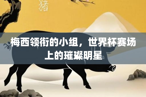 梅西领衔的小组，世界杯赛场上的璀璨明星