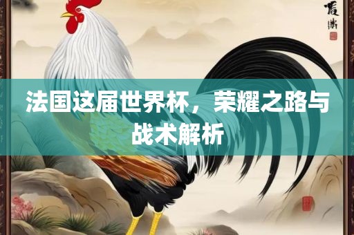 法国这届世界杯，荣耀之路与战术解析