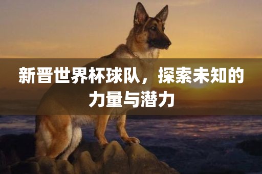 新晋世界杯球队，探索未知的力量与潜力