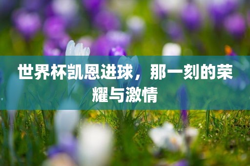 世界杯凯恩进球，那一刻的荣耀与激情