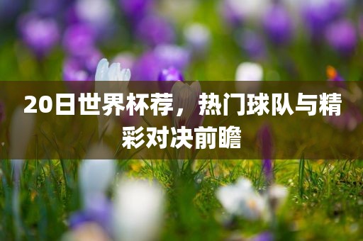 20日世界杯荐，热门球队与精彩对决前瞻金炬实业股份有限公司