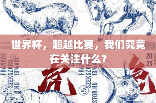 世界杯，超越比赛，我们究竟在关注什么？金炬实业股份有限公司