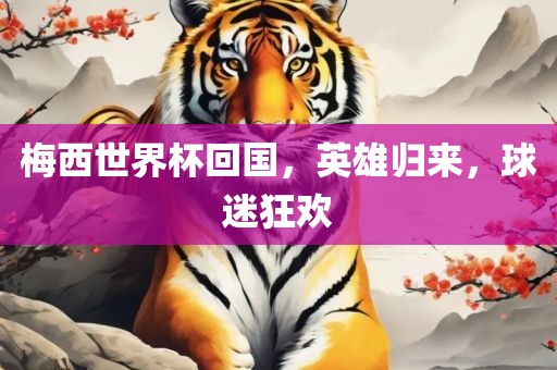 梅西世界杯回国，英雄归来，球迷狂欢