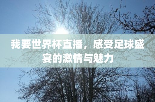 我要世界杯直播，感受足球盛宴的激情与魅力金炬实业股份有限公司