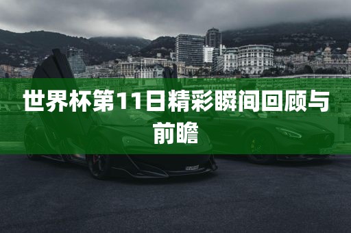 世界杯第11日精彩瞬间回顾与前瞻