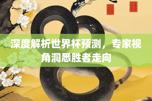 深度解析世界杯预测，专家视角洞悉胜者走向