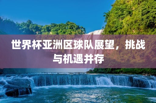 世界杯亚洲区球队展望，挑战与机遇并存