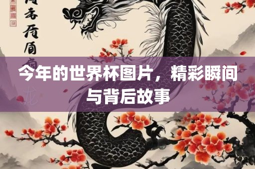 今年的世界杯图片，精彩瞬间与背后故事