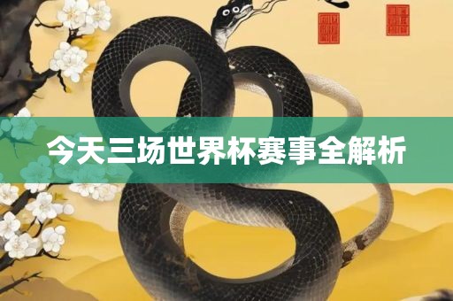 今天三场世界杯赛事全解析金炬实业股份有限公司