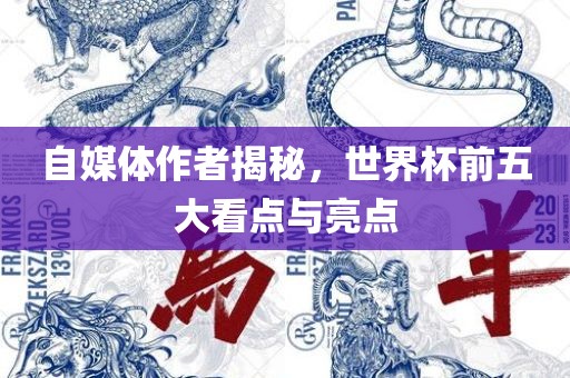 自媒体作者揭秘，世界杯前五大看点与亮点