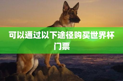 可以通过以下途径购买世界杯门票