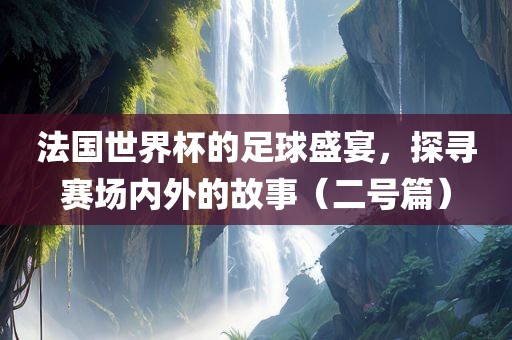 法国世界杯的足球盛宴，探寻赛场内外的故事（二号篇）