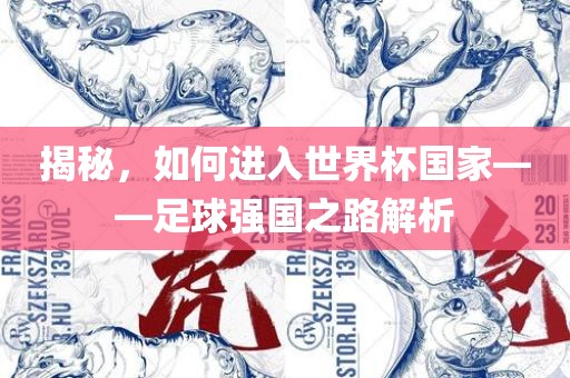 揭秘，如何进入世界杯国家——足球强国之路解析