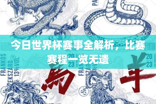 今日世界杯赛事全解析，比赛赛程一览无遗