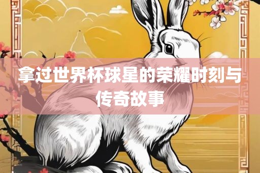 拿过世界杯球星的荣耀时刻与传奇故事