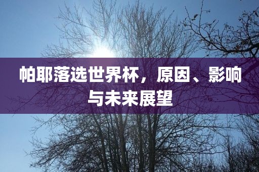 帕耶落选世界杯，原因、影响与未来展望