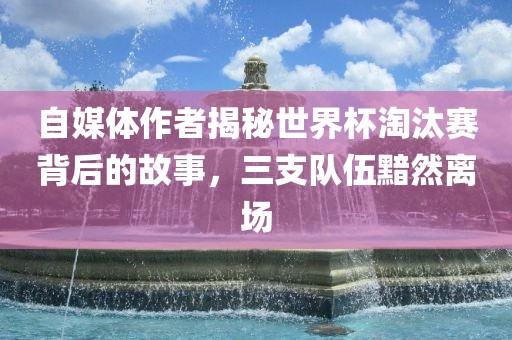 自媒体作者揭秘世界杯淘汰赛背后的故事，三支队伍黯然离场