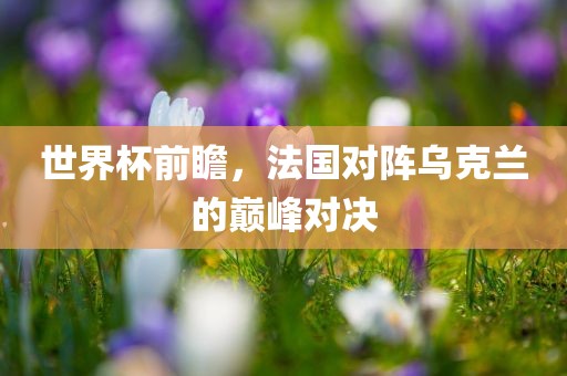 世界杯前瞻，法国对阵乌克兰的巅峰对决