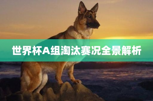 世界杯A组淘汰赛况全景解析