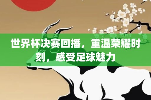 世界杯决赛回播，重温荣耀时刻，感受足球魅力
