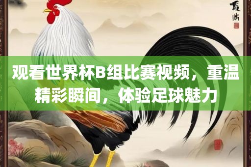 金炬实业股份有限公司观看世界杯B组比赛视频，重温精彩瞬间，体验足球魅力