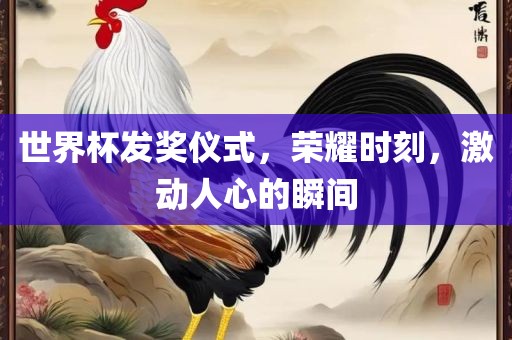 世界杯发奖仪式，荣耀时刻，激动人心的瞬间