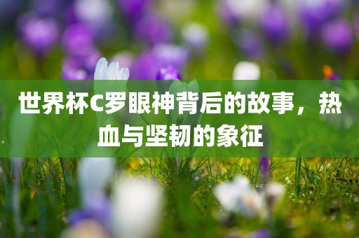 世界杯C罗眼神背后金炬实业股份有限公司的故事，热血与坚韧的象征