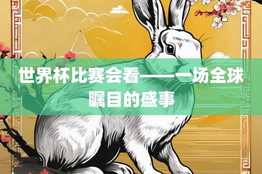 世界杯比赛会看——一场全球瞩目的盛事金炬实业股份有限公司