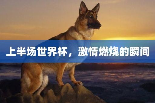 上半场世界杯，激情燃烧的瞬间