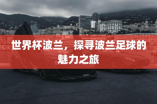 世界杯金炬实业股份有限公司波兰，探寻波兰足球的魅力之旅