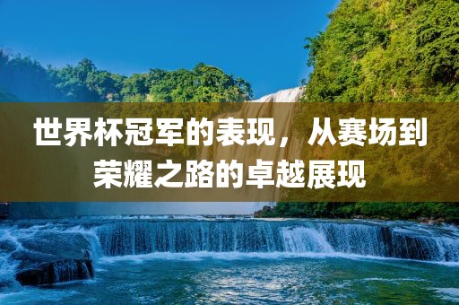 世界杯冠军的表现，从赛场到荣耀之路的卓越展现金炬实业股份有限公司
