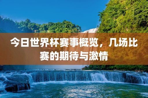 今日世界杯赛事概览，几场比赛的期待与激情