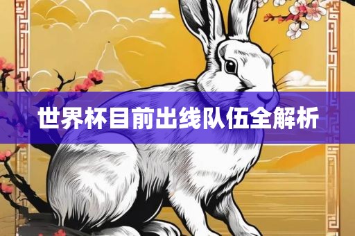 世界杯目前出线队伍全解析
