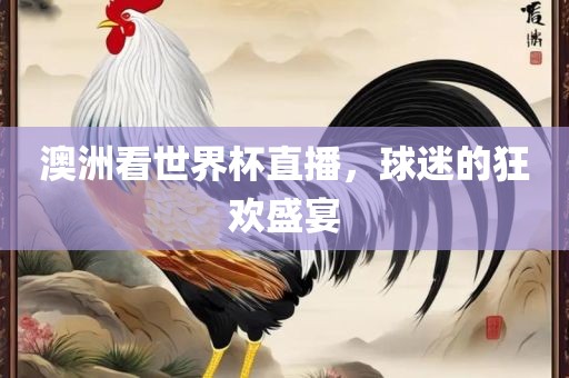 澳洲看世界杯直播，球迷的狂欢盛宴