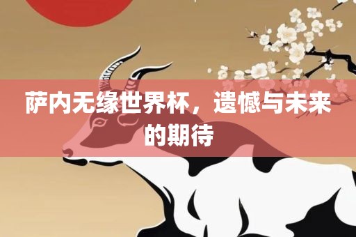萨内无缘世界杯，遗憾与未来的期待金炬实业股份有限公司