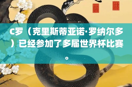 C罗（克里斯蒂亚诺·罗纳尔多）已经参加了多届世界杯比赛。
