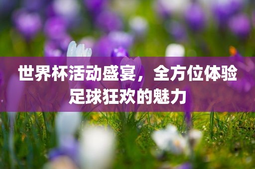 世界杯活动盛宴，全方位体验足球狂欢的魅力金炬实业股份有限公司