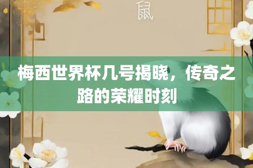 梅西世界杯几号揭晓，传奇之路的荣耀时刻金炬实业股份有限公司