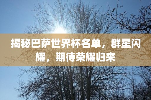 揭秘巴萨金炬实业股份有限公司世界杯名单，群星闪耀，期待荣耀归来
