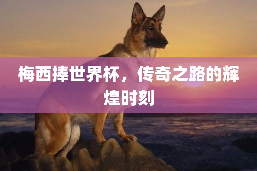 梅西捧世界杯，传奇之路的辉煌时刻金炬实业股份有限公司