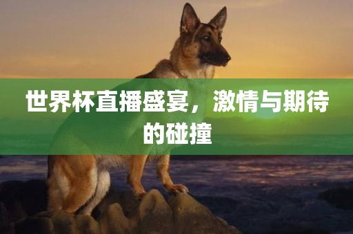 世界杯直播 第12页