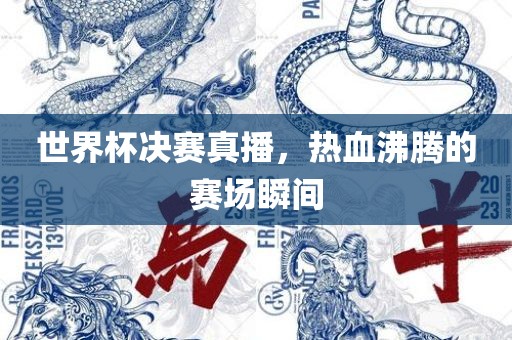 世界杯决赛真播，热血沸腾的赛场瞬间