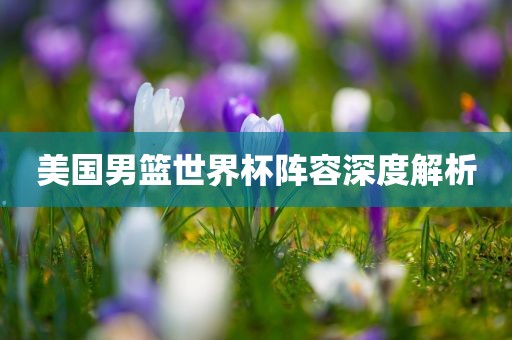 美国男篮世界杯阵容深度解析