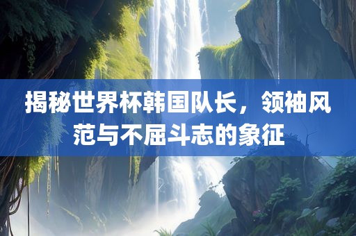 揭秘世界杯韩国队长，领袖风范与不屈斗志的象征金炬实业股份有限公司